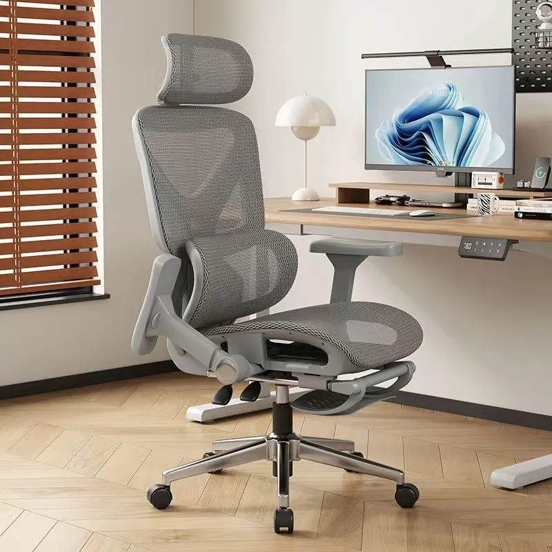 Ergonomic Office Chair - 인체공학적 사무실 의자, 요추 지지대, 통기성