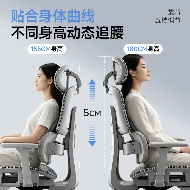 인체공학적 요추 지지형 사무용 의자, 가정용 편안한 좌 - Ergonomic Office Chair 리뷰 및 가격